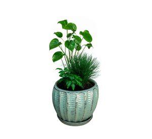Maceta Hosse 37 Azul Capri con plato