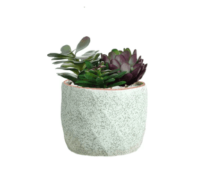 Macetero Geométrico Cerámica Suculentas 72x6cm Pack 10 Verde
