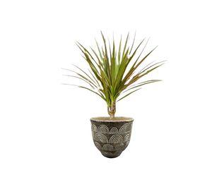 Maceta Hormigon Arcilla Plantas Jardin Cesped Adorno Lau