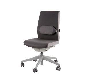 Respaldo Lumbar Negro I-Spire