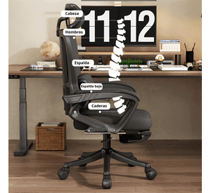 Silla Escritorio Homework Ergonómica Reposo Lumbar Cintura