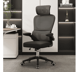 Silla Escritorio Homework Ergonómica Reposo Lumbar Cintura