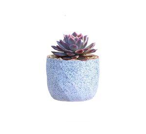 Macetero Geométrico Cerámica Suculentas 7.2x6cm Pack 10 Azul