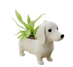 Macetero - Diseño Perro