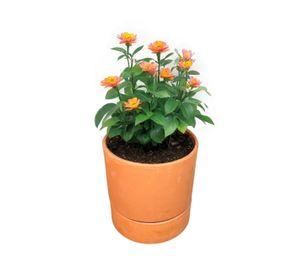 Maceta Autoriego Modula 25cm Terracota