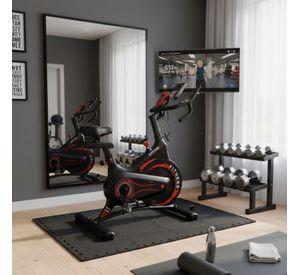 Bicicleta Spinning Magnetica Profesional T1 Disco 6kg