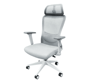 Silla De Escritorio Zenith Ergon mica Ajustable Blanca Woven