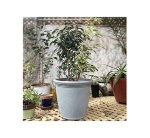 Macetero Rotomoldeado KIRI36 Gris (36cmx40cm)