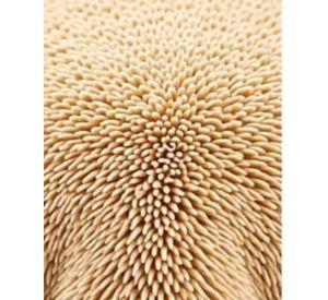Cobertor de Invierno ultra solf peludo con Chiporro - king TF