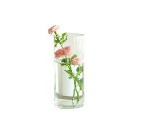 Florero Jarro Vidrio Planta Flores Decora Cocina Sala Lau