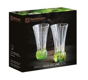 Set 2 Floreros Spring Lime