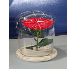Cúpula Cristal LED con Rosa Roja Bella y Bestia