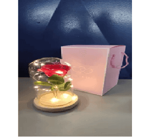 Cúpula Cristal LED con Rosa Roja Bella y Bestia
