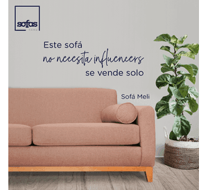 Sofá Meli Felpa Palo Rosa 2 Cuerpos