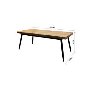 Mesa de centro 40x60x120 Metal Madera