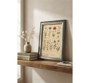 Cuadro Flores Silvestres Ilustracion Botanica