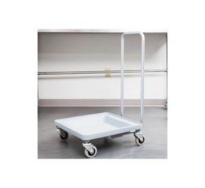 CARRO PORTA RACK CON ASA 54x5x20 CM