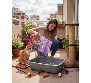 Arena Para Gatos Aglutinante Sanitaria Lavanda 10 Kg