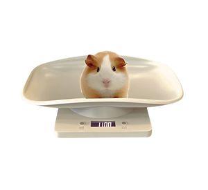 Balanza Bascula Digital Para Mascotas Bebes LCD 10kg