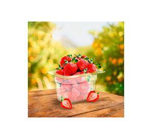 CONTENEDOR POLICARBONATO TRANSPARENTE 1/9x10 cms