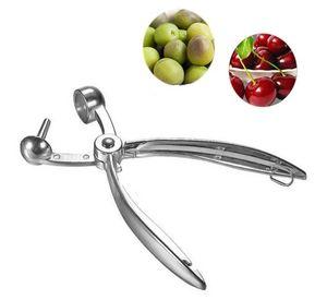 Deshuesador De Cereza, Descarozadores Quita Cuesco Aceituna