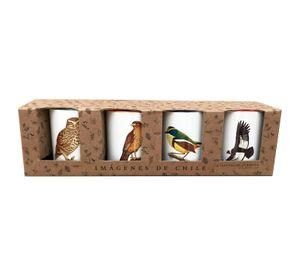 Set De 4 Tazones De Pájaros N°3