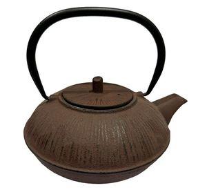 Tetera de hierro fundido con infusor