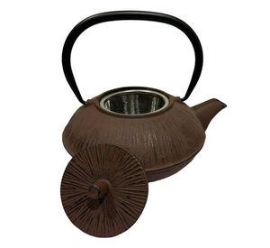 Tetera de hierro fundido con infusor