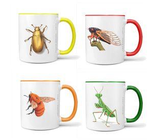Set De 4 Tazones De Insectos N°3