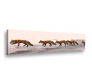 Canvas Zorros - 150x50 cm