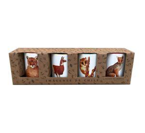 Set De 4 Tazones De Fauna N°1