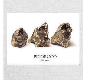 Tabla Chica De Cortar De Picoroco