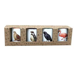 Set De 4 Tazones De Pájaros N°4