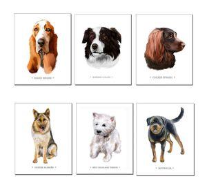 Set de Láminas De Perros N°1