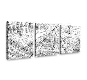 Canvas trio Madera 70x50cm.