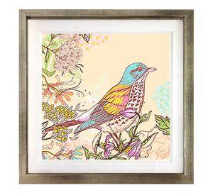 Set 4 Cuadros Plateado Pajaros Vintage 30X30