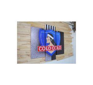 Cuadro Tríptico 90x80cm Colo Colo. Bastidor de Madera