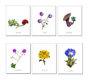Set de Láminas De Flores N°2
