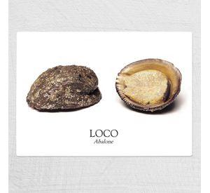 Tabla Chica De Cortar De Loco