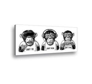 Canvas Monkey - 90x45 cm