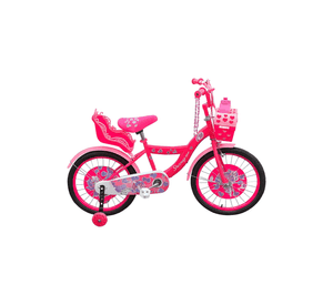 Bicicleta Infantil Con Ruedas De Aprendizaje Fucsia aro 16