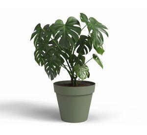 Maceta Capri verde 50 cm