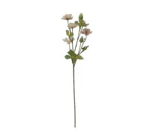 Chispa ecru 70 cm