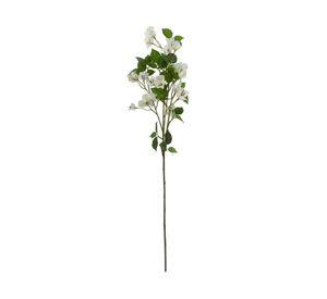 Buganvilia blanca 91 cm