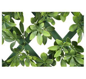 Cerco exterior Treillage Cheflera 90x180 cm