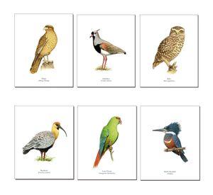 Set de Láminas De Pájaros N°2