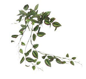 HIEDRA COLGANTE ZEBRINA 70CM COREL