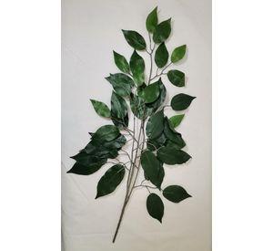 Planta Decorativa Rama Ficus 50Cm