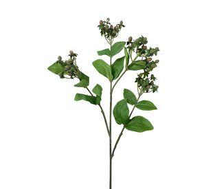 Rama Hypericum 84cm