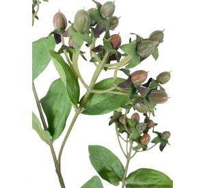 Rama Hypericum 84cm